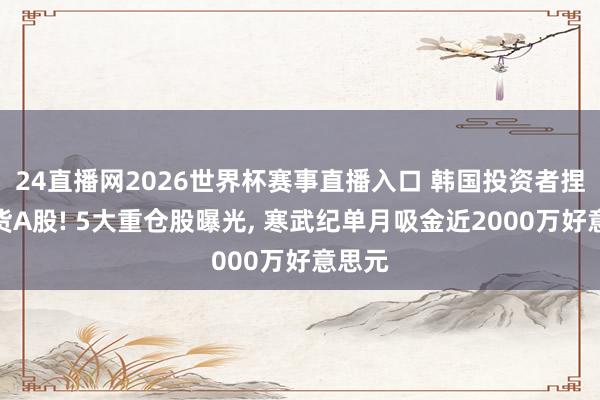 24直播网2026世界杯赛事直播入口 韩国投资者捏续扫货A股! 5大重仓股曝光， 寒武纪单月吸金近2000万好意思元