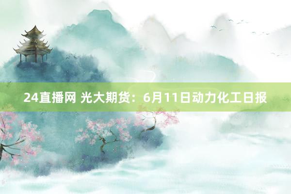 24直播网 光大期货：6月11日动力化工日报