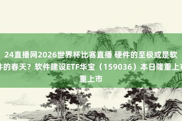 24直播网2026世界杯比赛直播 硬件的至极或是软件的春天?软件建设ETF华宝(159036)本日隆重上市
