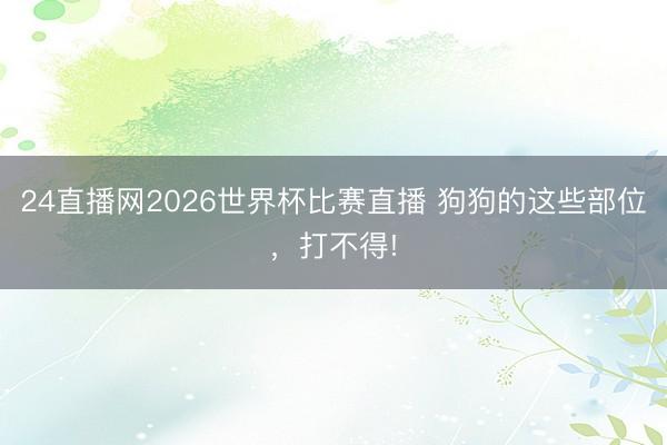 24直播网2026世界杯比赛直播 狗狗的这些部位，打不得!
