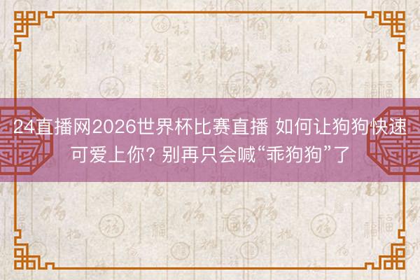 24直播网2026世界杯比赛直播 如何让狗狗快速可爱上你? 别再只会喊“乖狗狗”了
