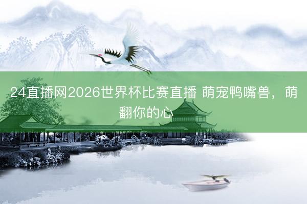 24直播网2026世界杯比赛直播 萌宠鸭嘴兽，萌翻你的心❤️